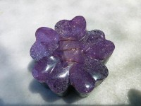 /album/galeria/semitactica-flor-morada-3-jpg/